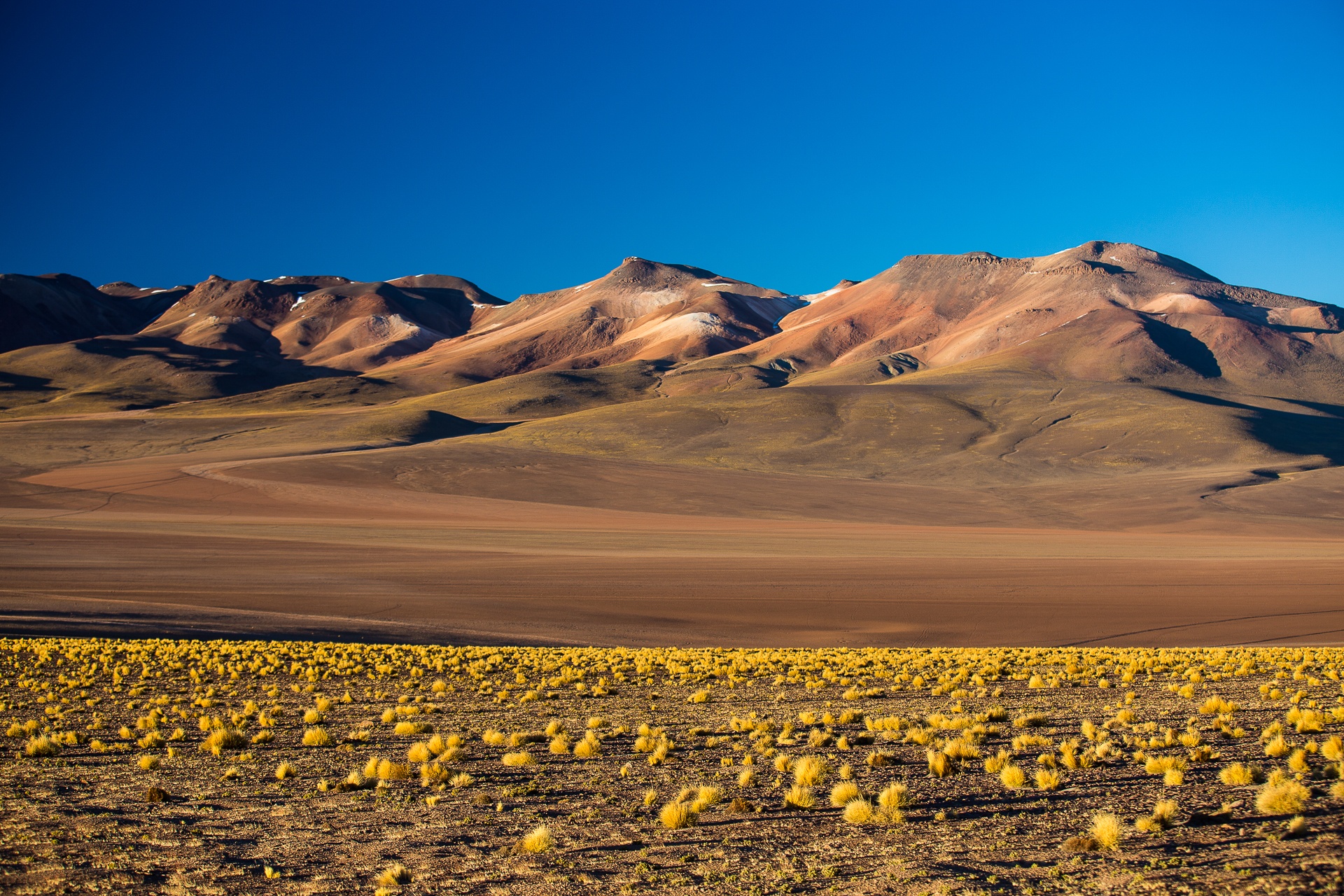 sud lipez
