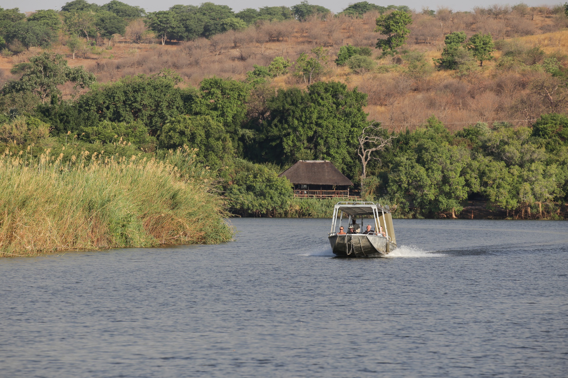 Navigation sur Chobe