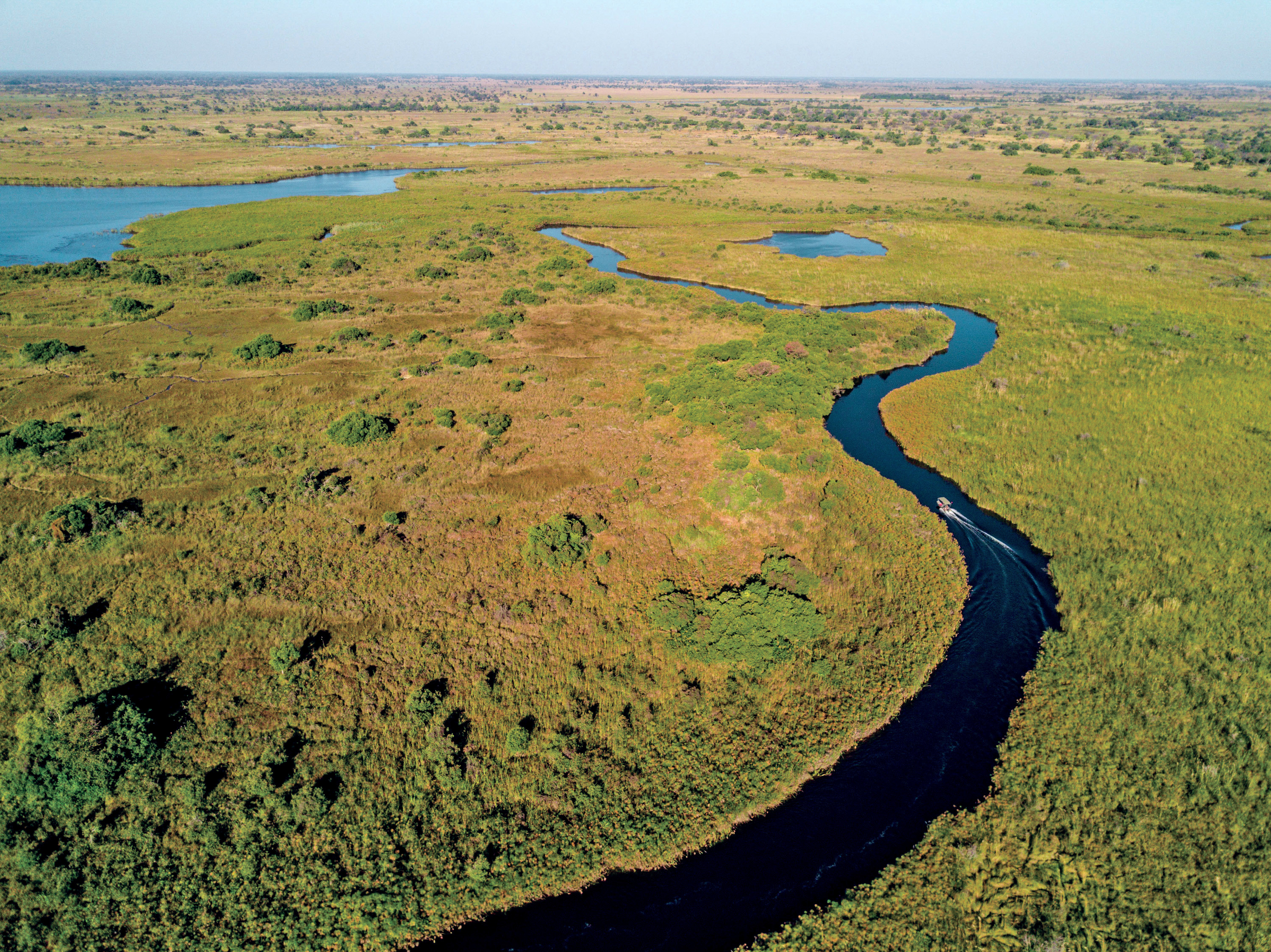 Delta de l'Okavango