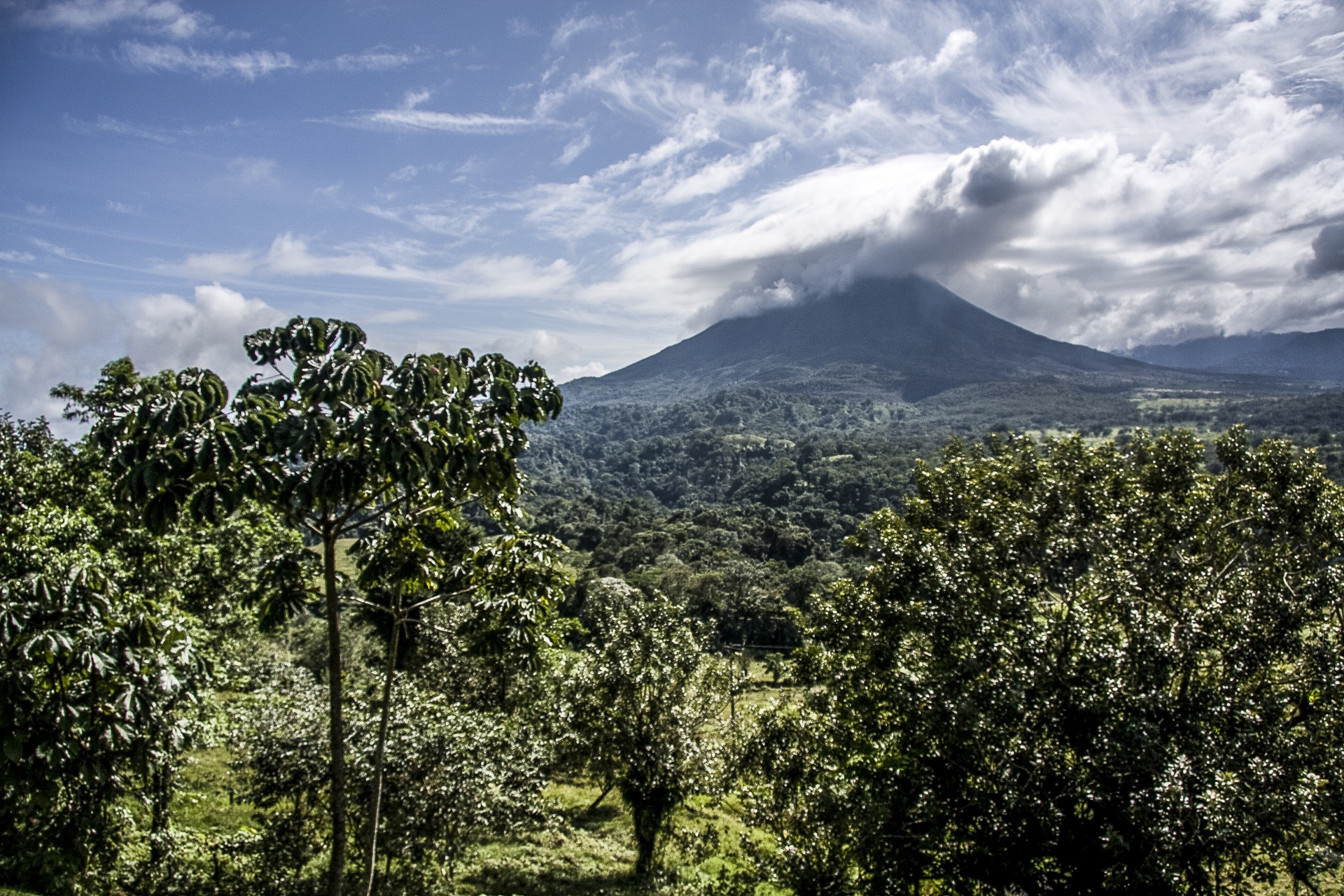 Arenal