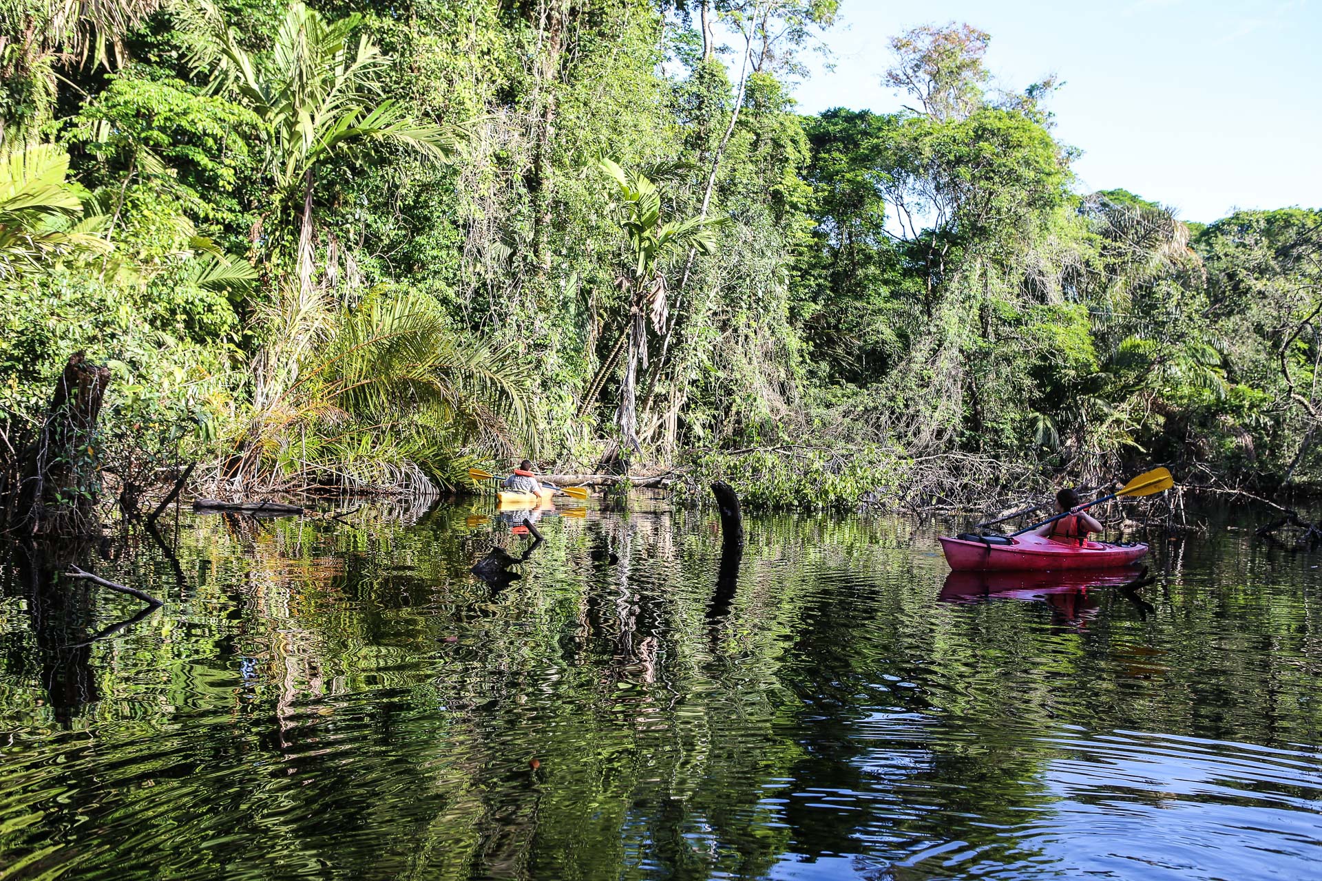 Balade canoe