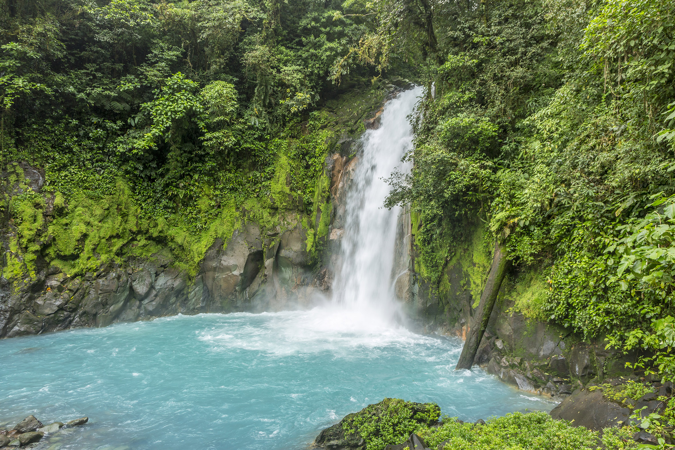 Cascade du Rio Céleste_Parc National du Volcan Tenorio