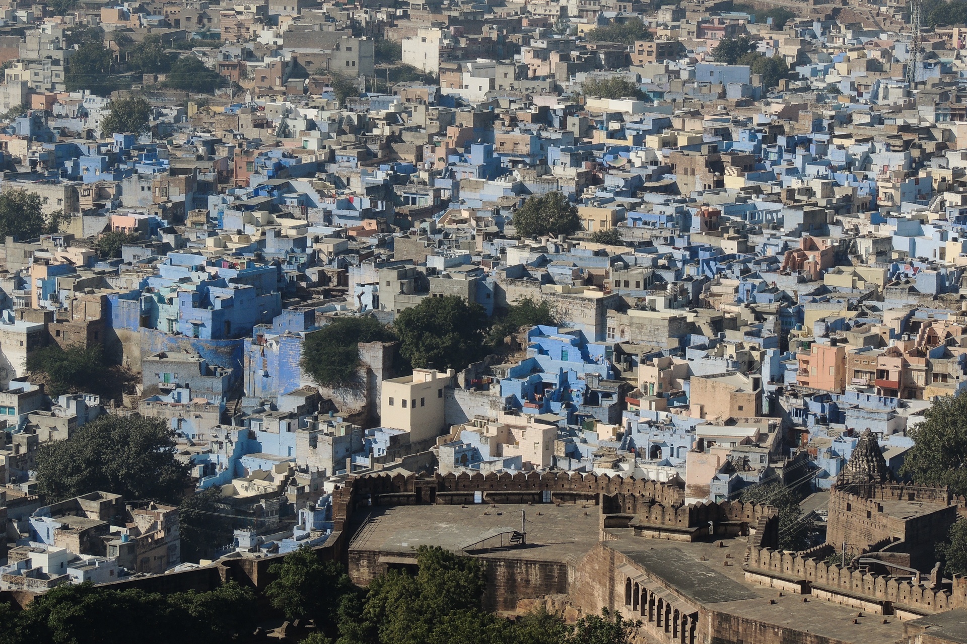 Jodhpur, la ville bleue