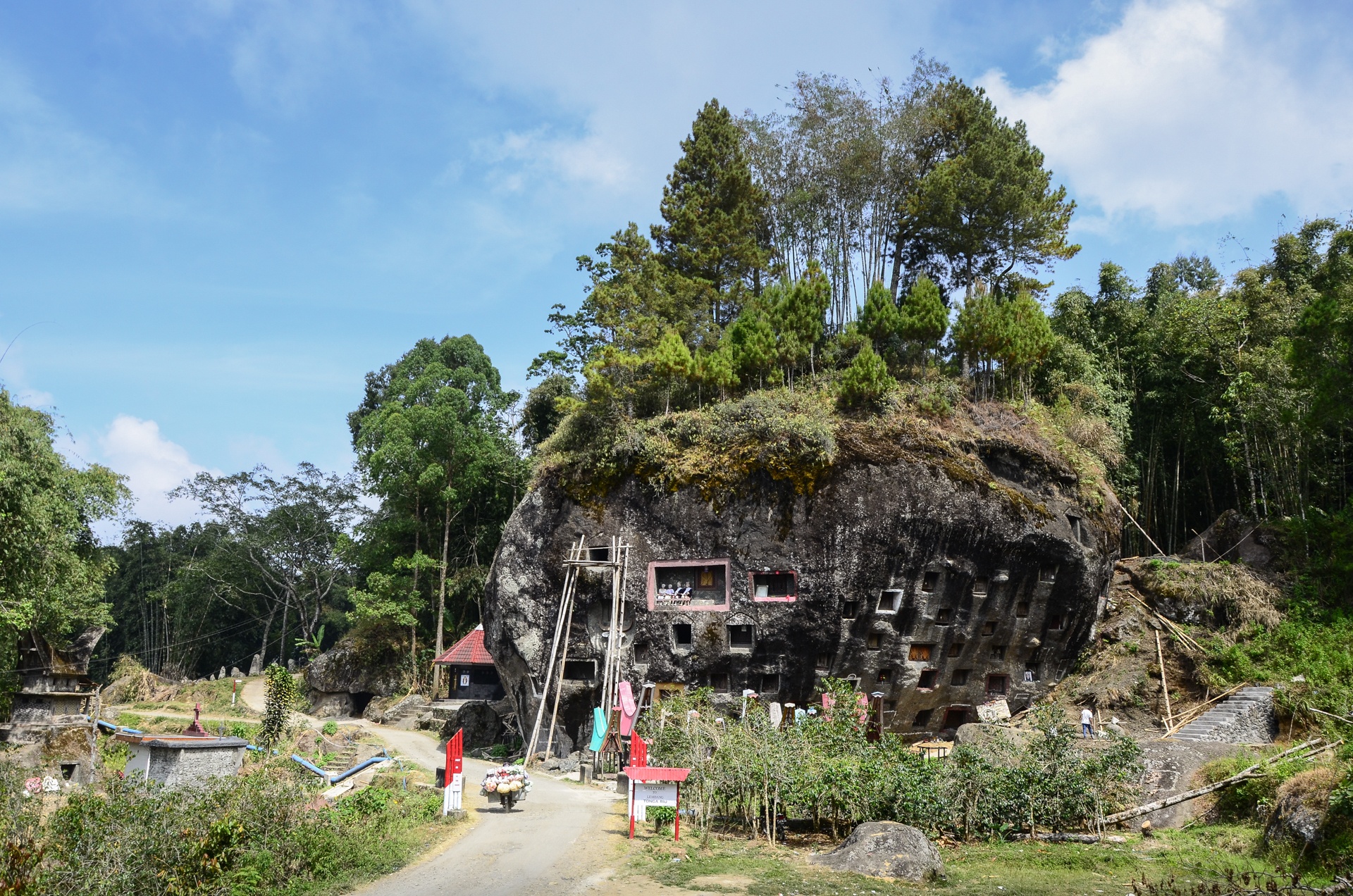 tORAJA