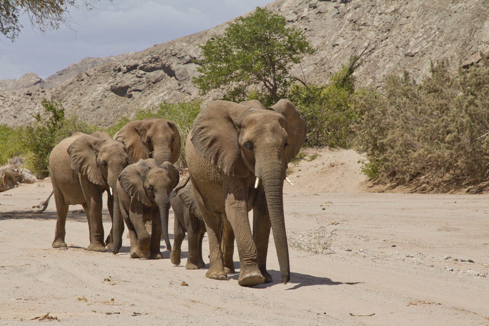 Damaraland