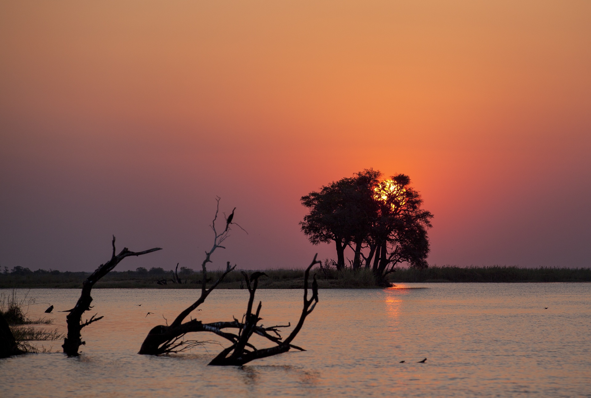 rivière chobe