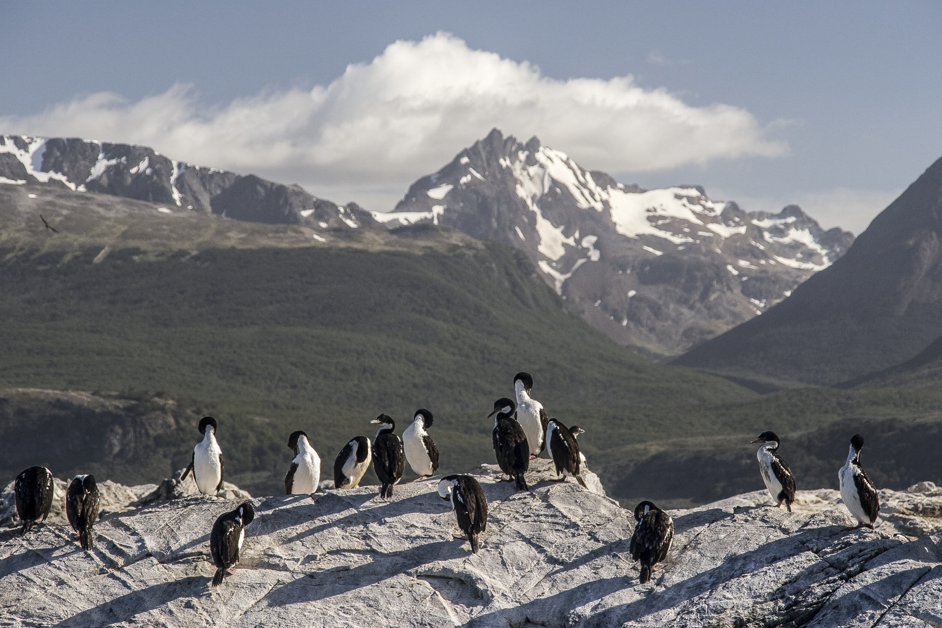 Canal Beagle