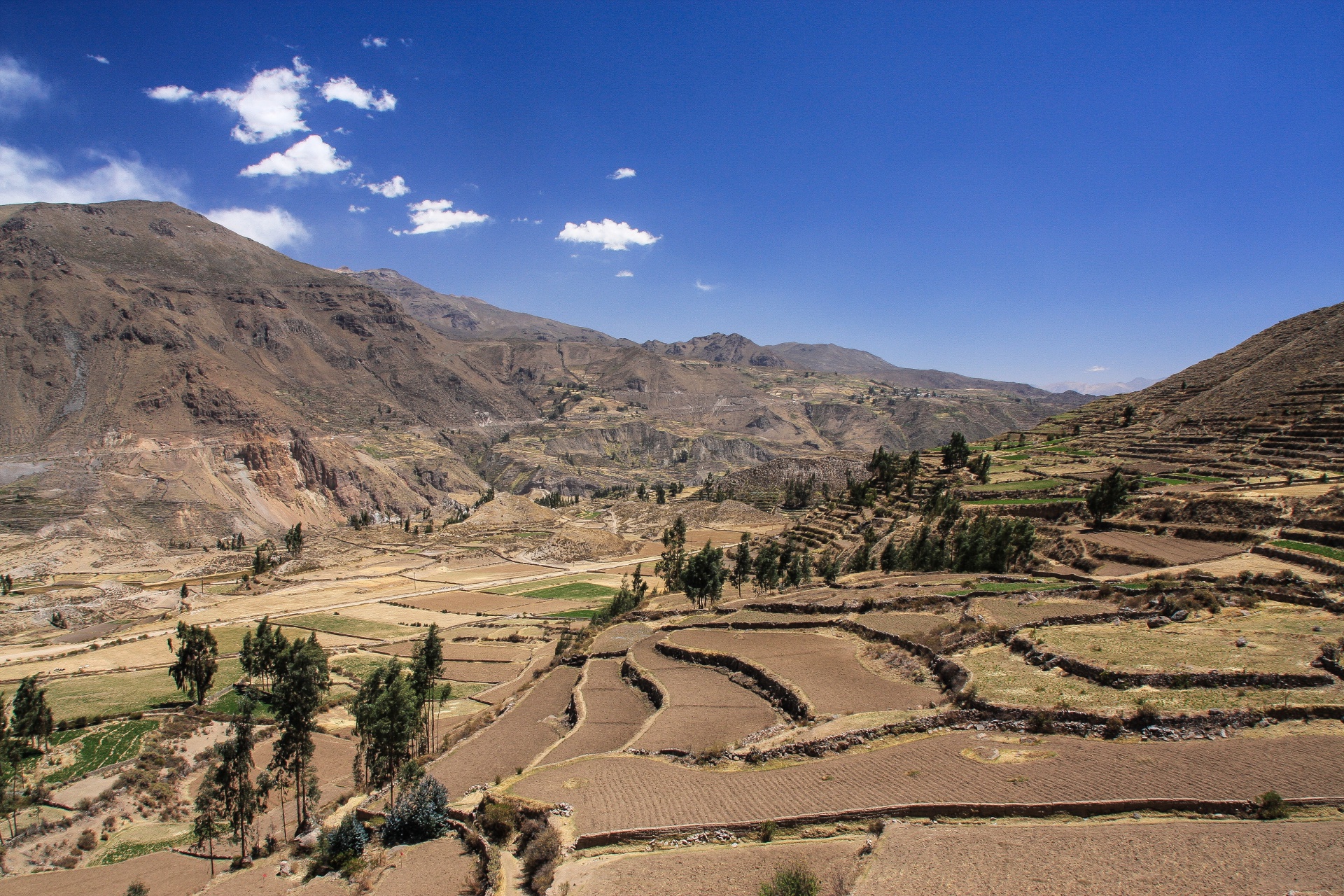 COLCA