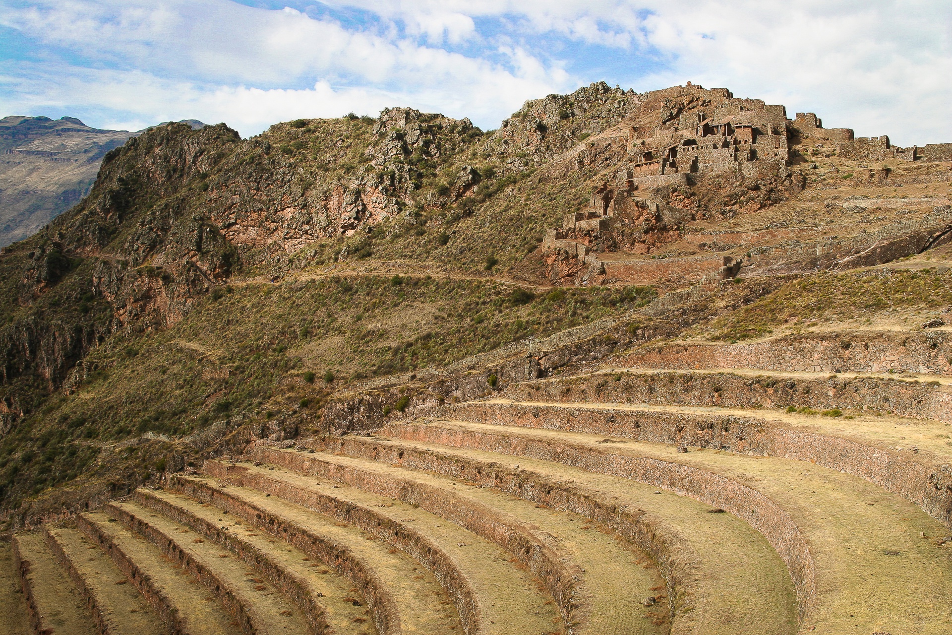 PISAC