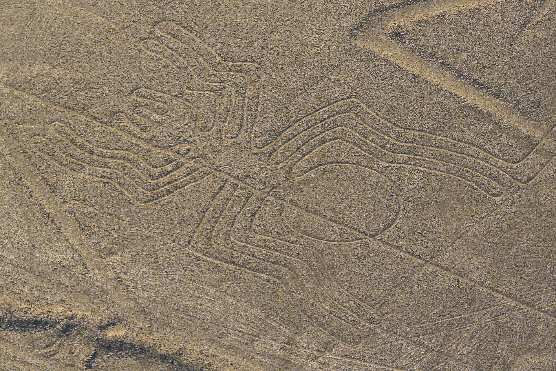 Nazca