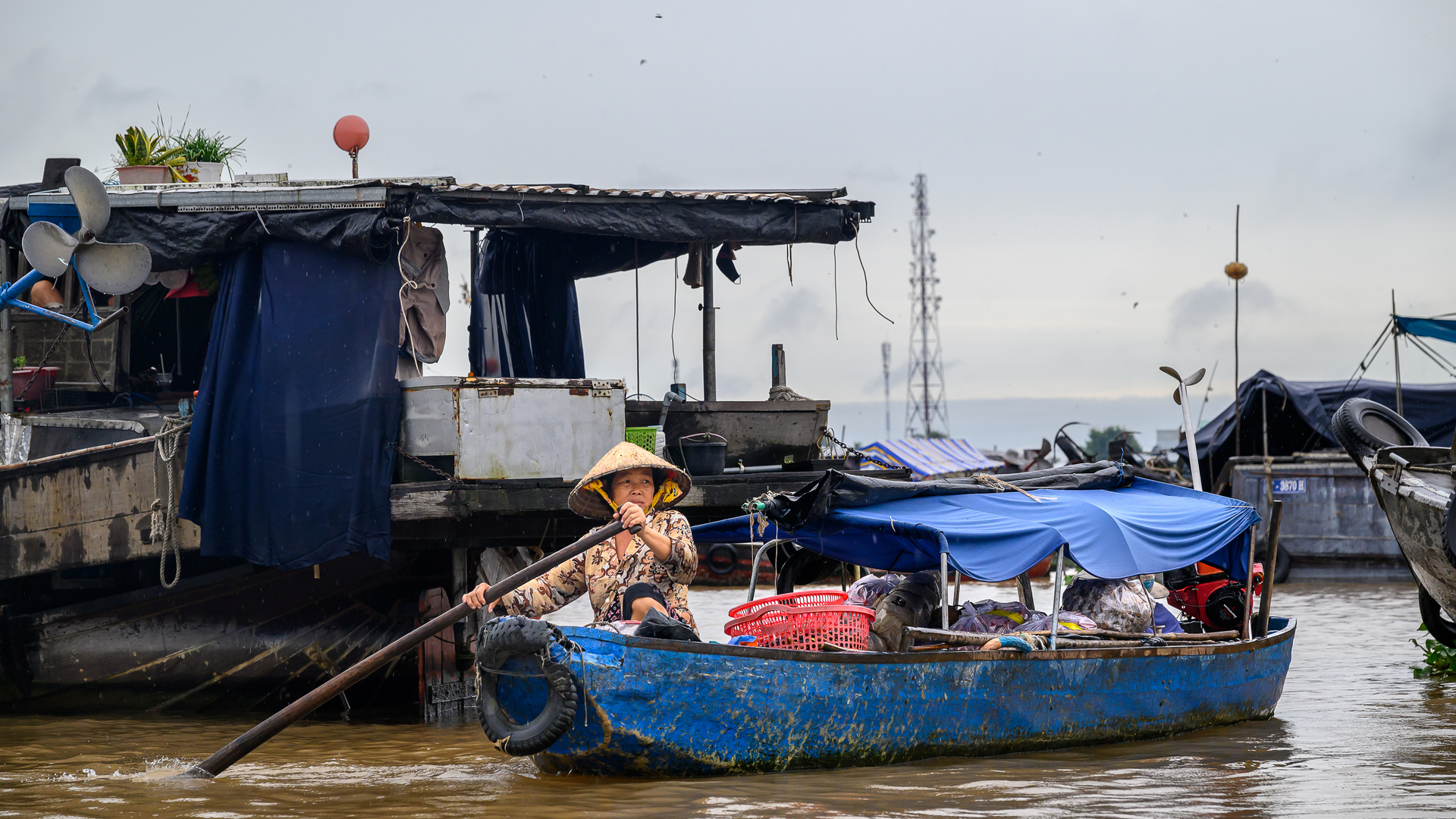 delta du mekong