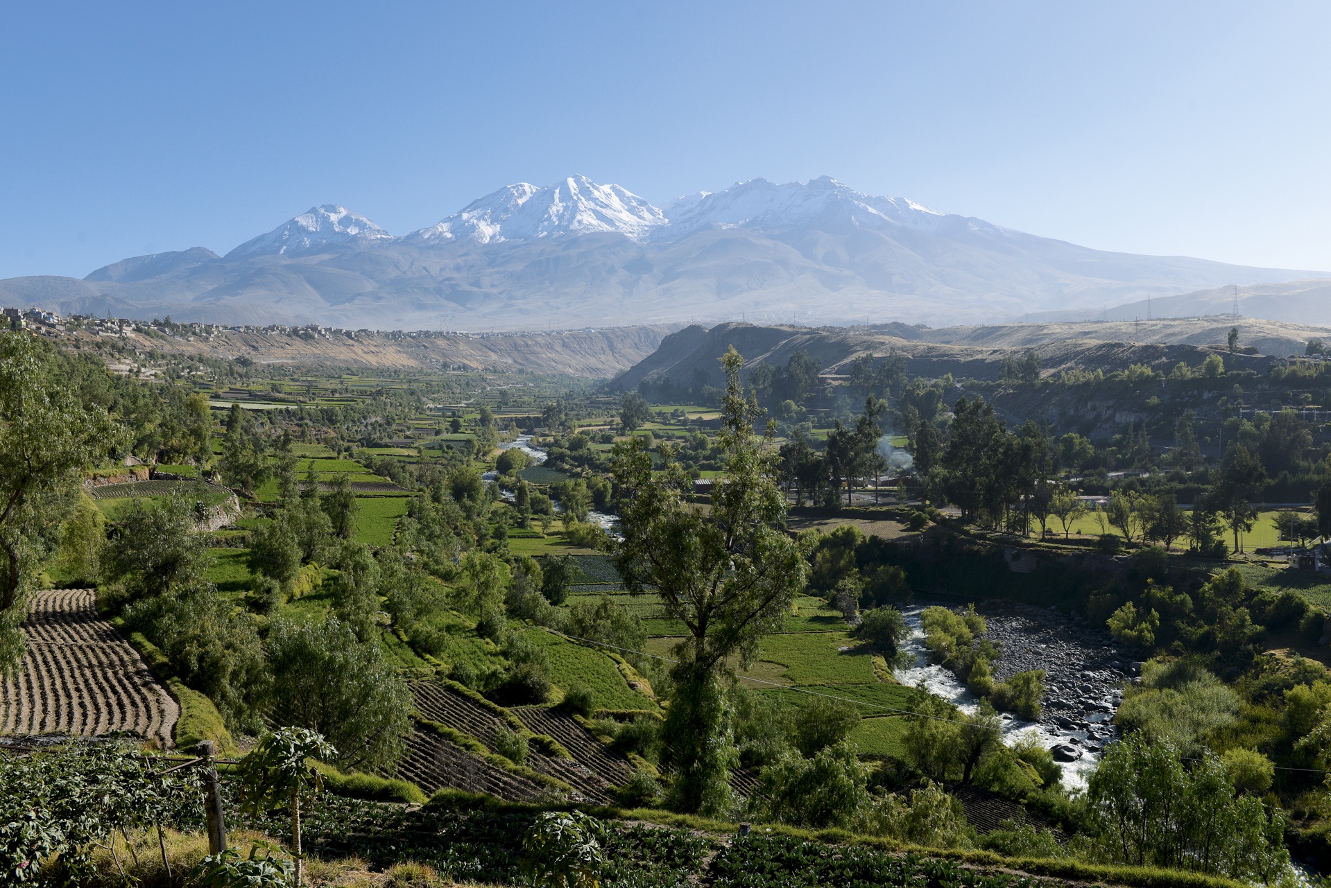 Colca 