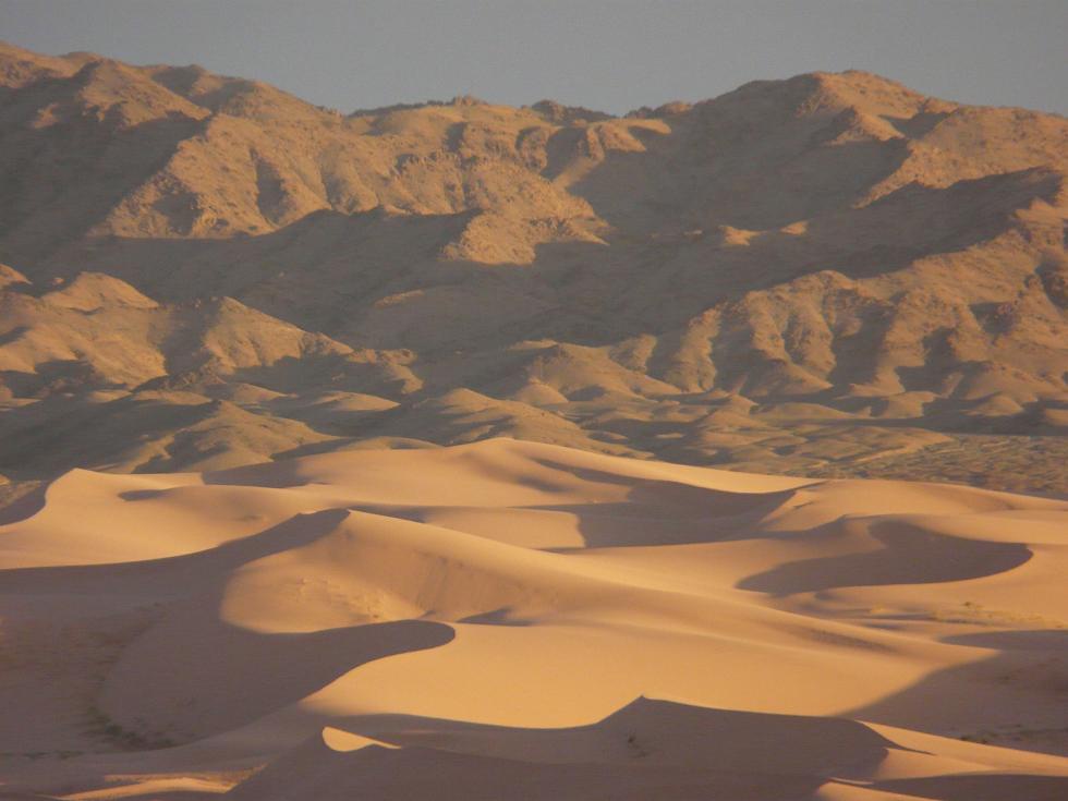 Gobi