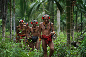 Sumatra