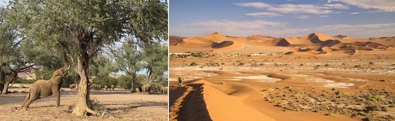 Namibie