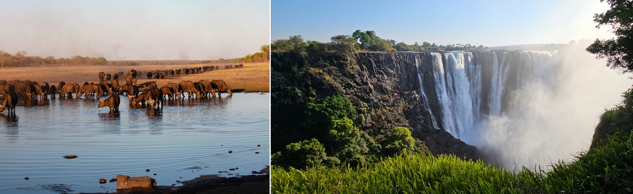 Zimbabwe