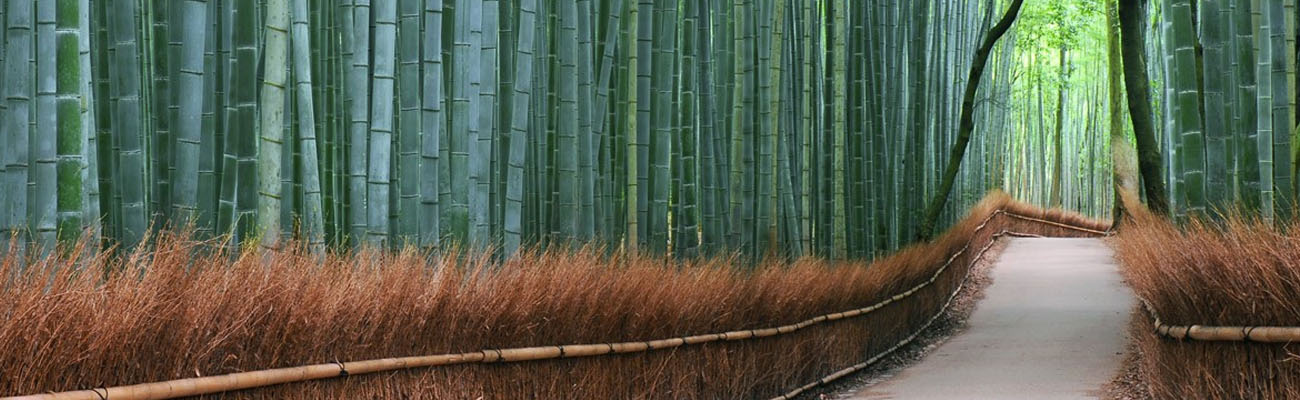 Japon