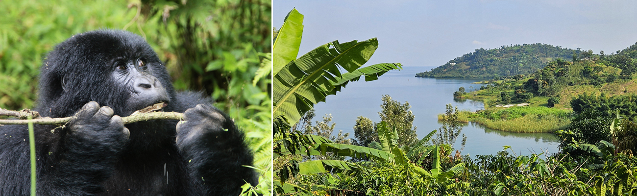 Rwanda