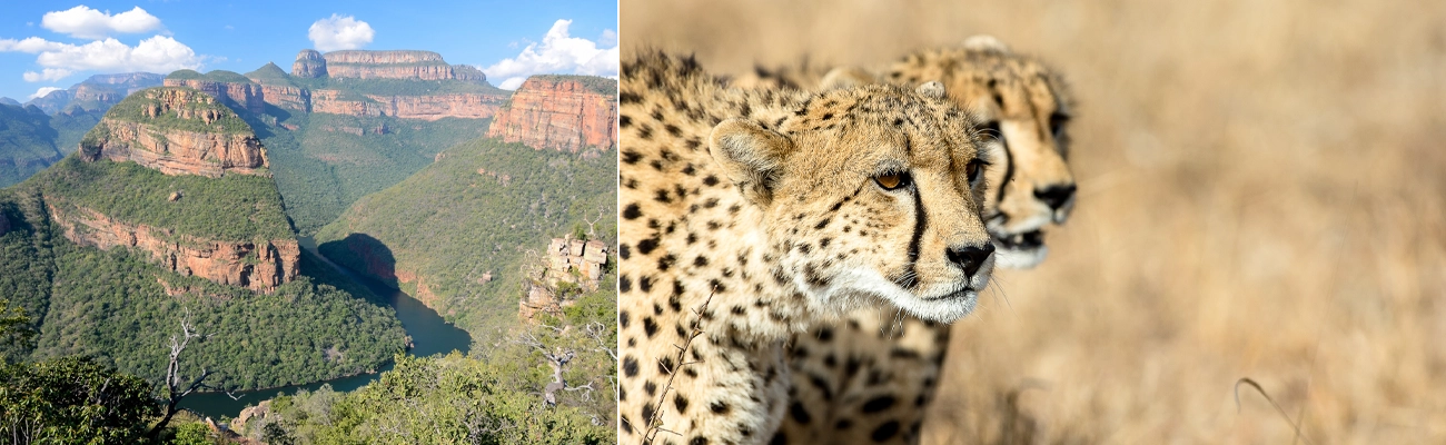 Afrique du Sud