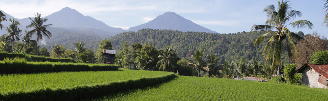 Bali