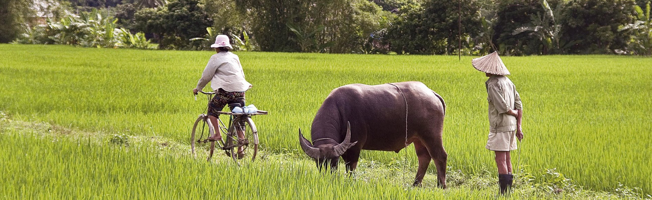Vietnam