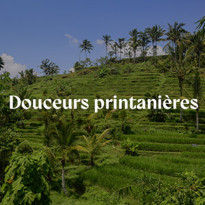 Où partir au printemps ?