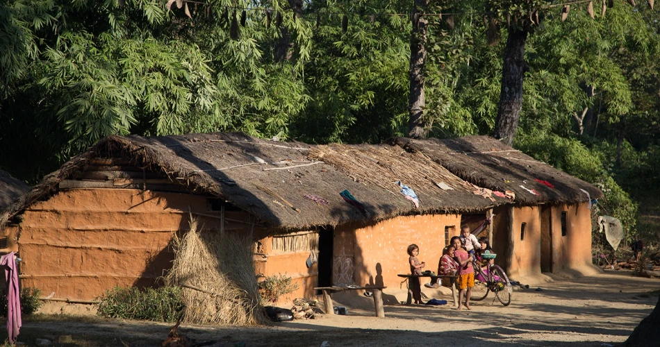 Dans le Teraï, Népal