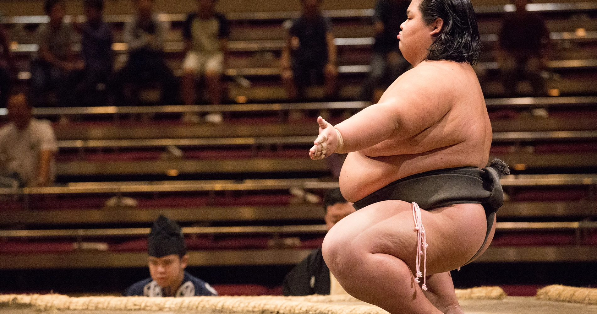 Sumo