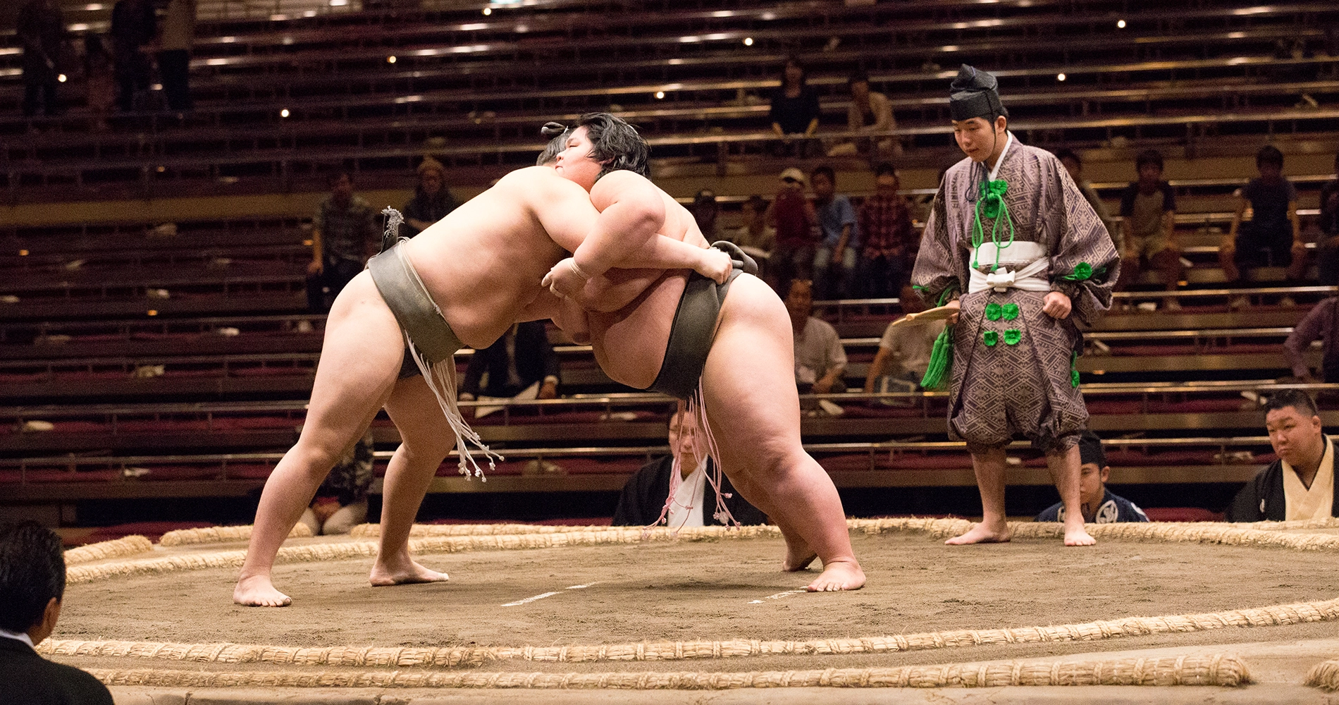Combat sumo