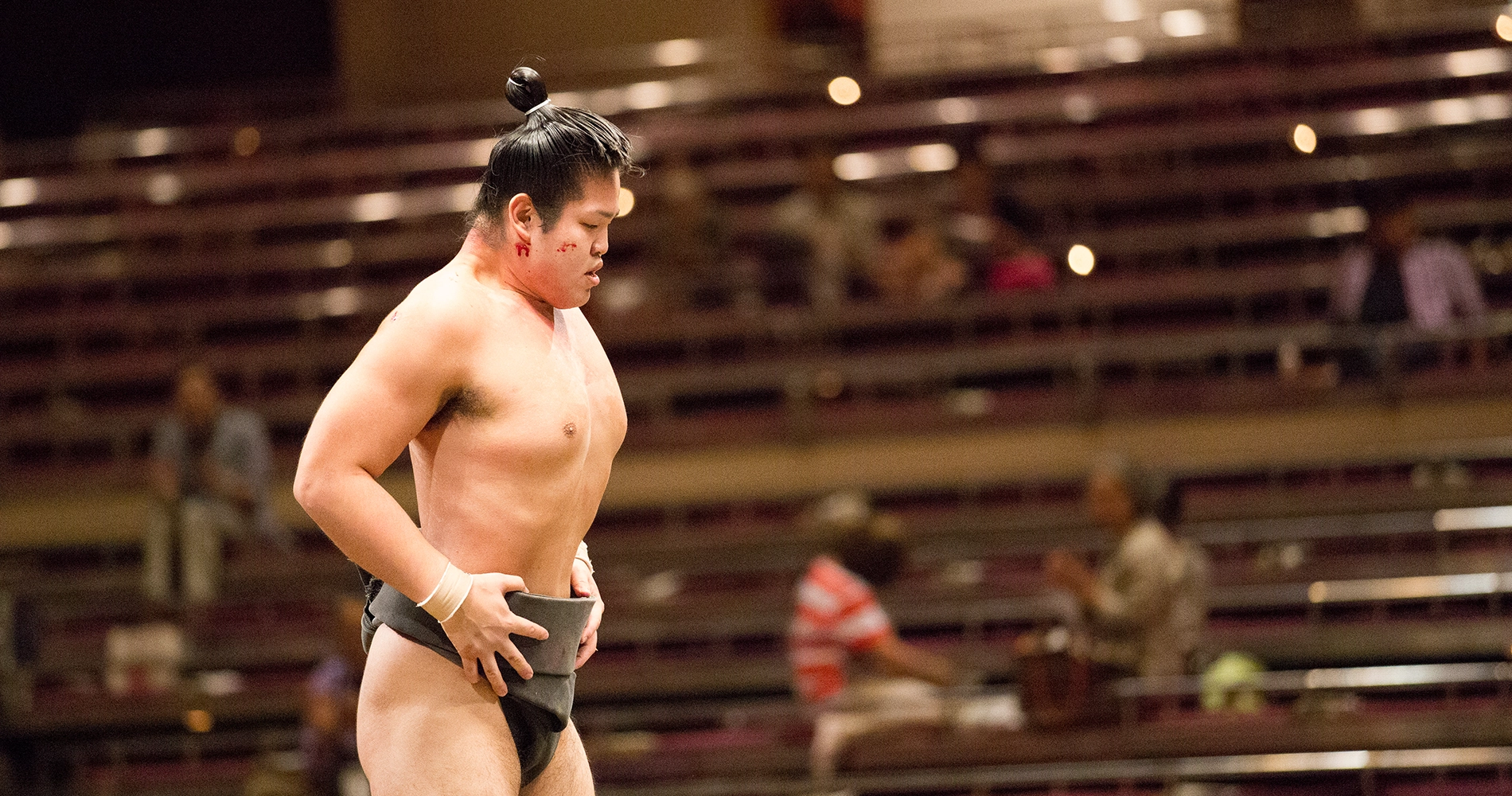 Sumo en récupération