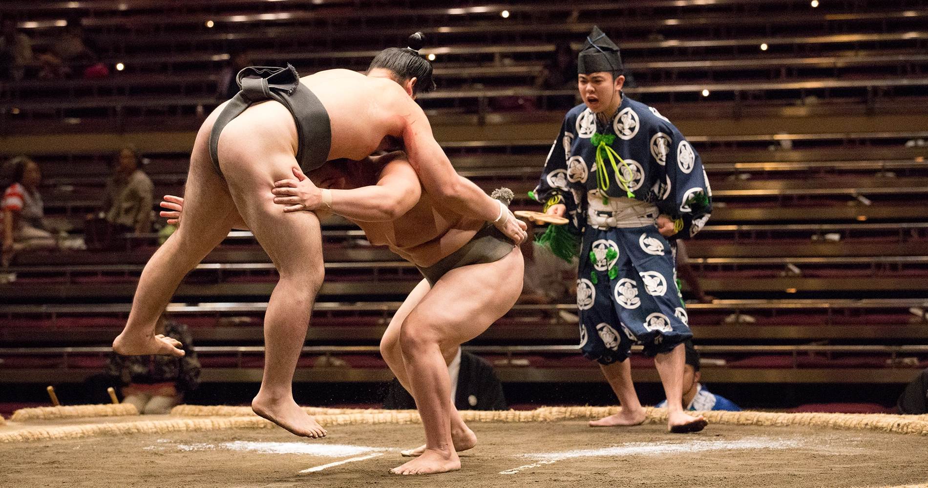 Sumo