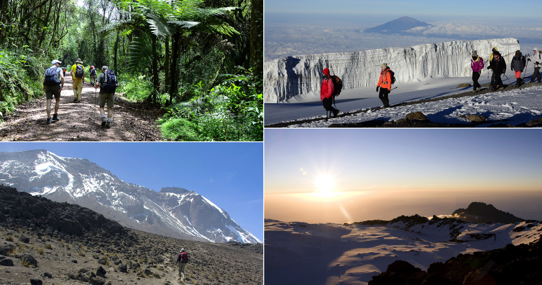 Sur la route du Kilimandjaro