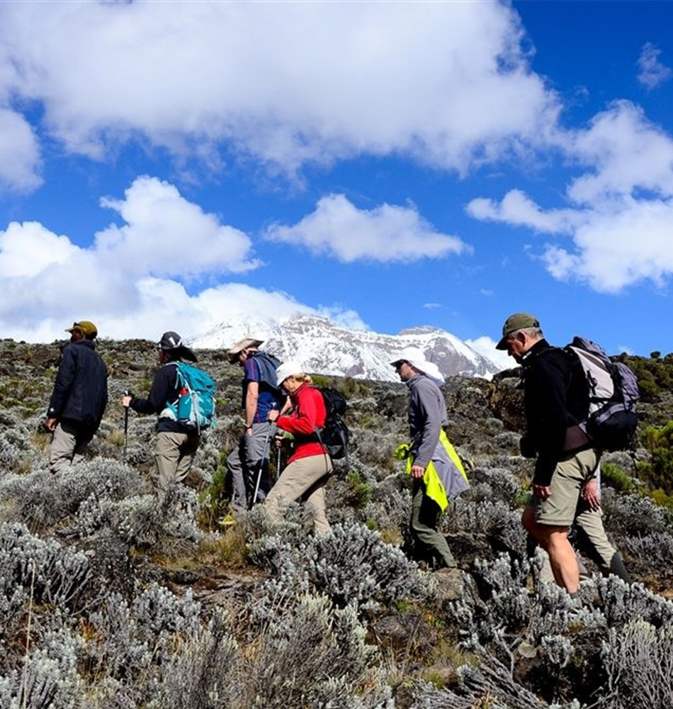 Avant le plateau de Shira Kilimandjaro Tanzanie