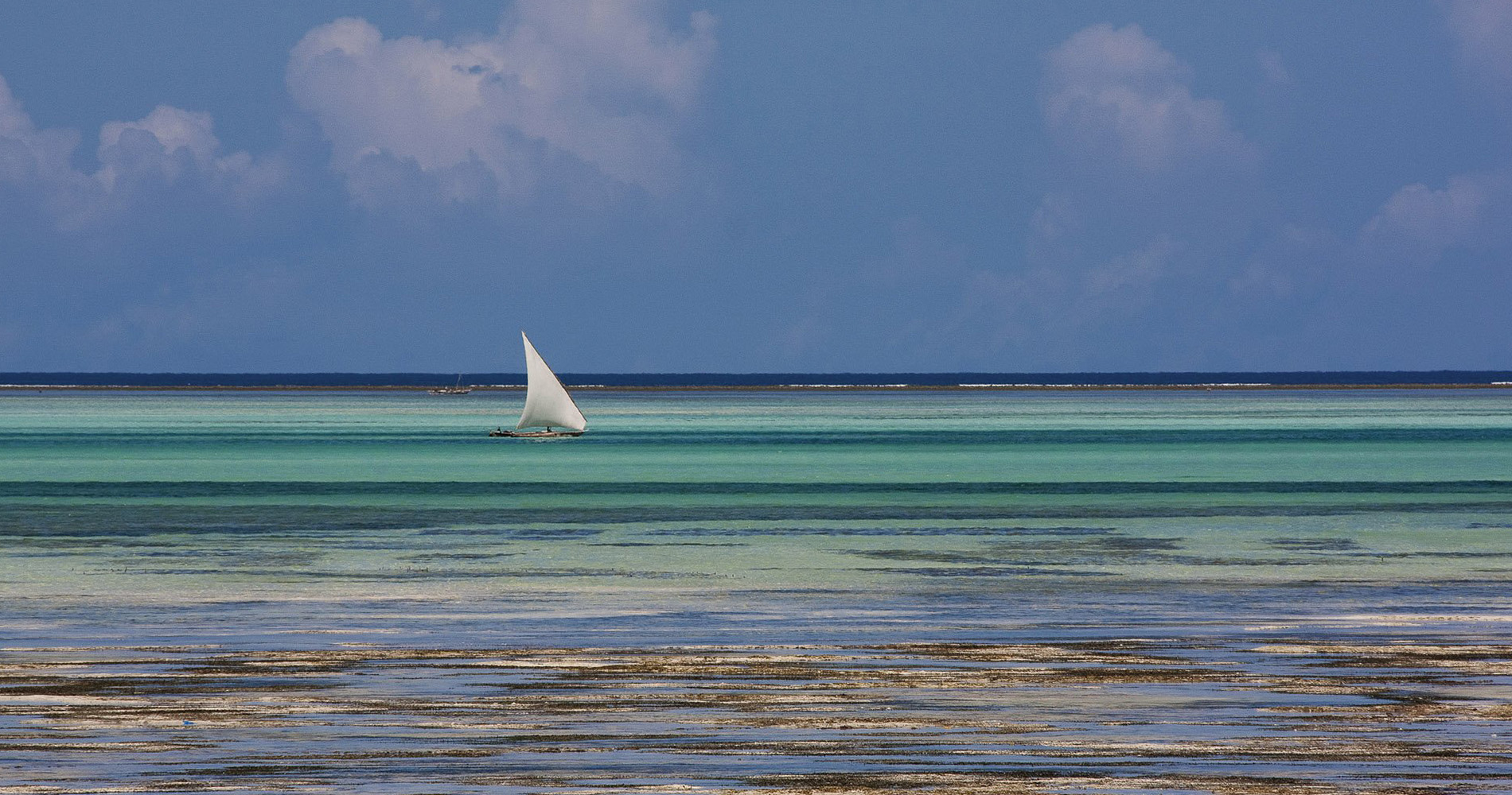 Côte est de Zanzibar Tanzanie