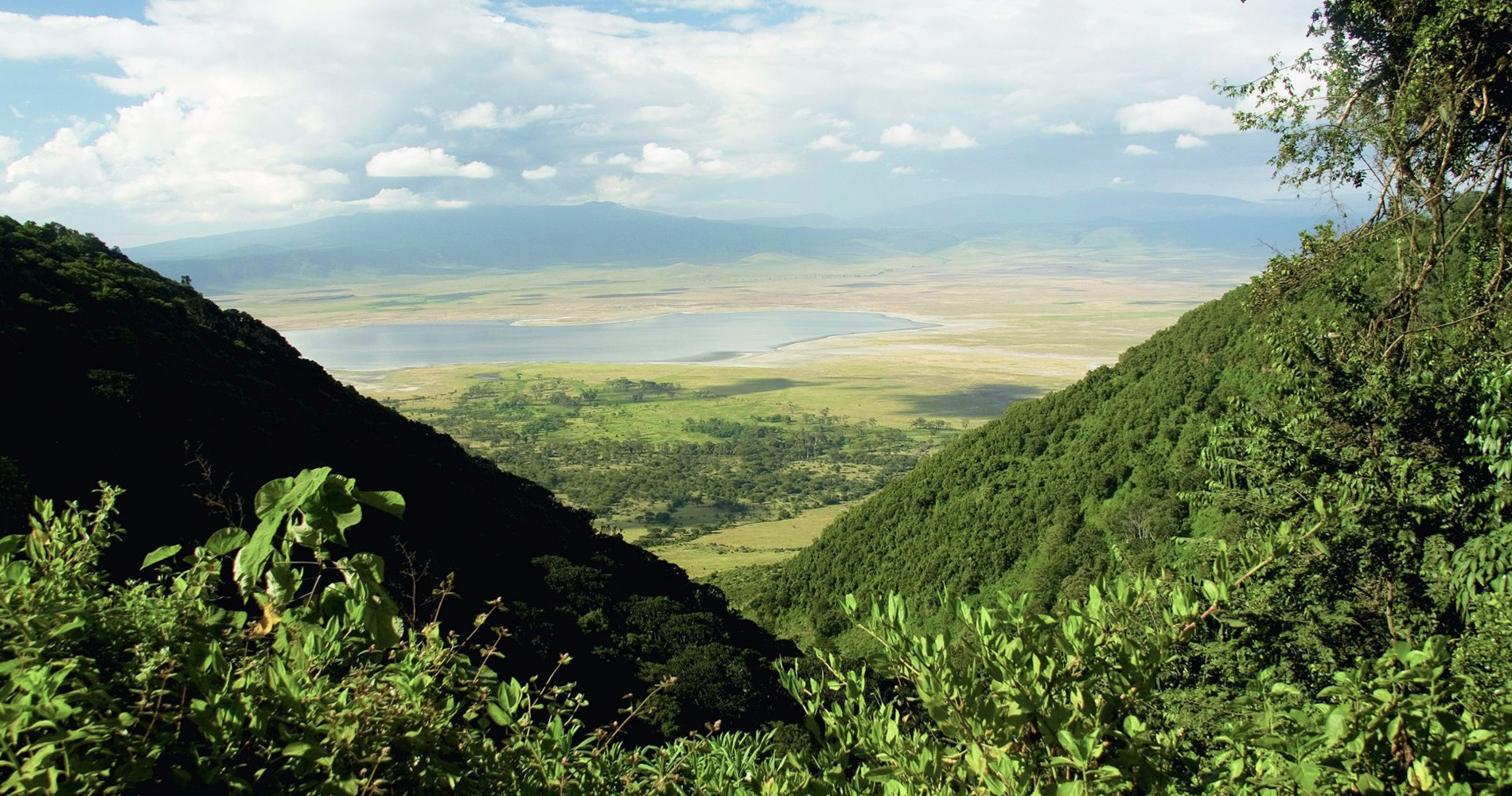 Caldeira du Ngorongoro Tanzanie