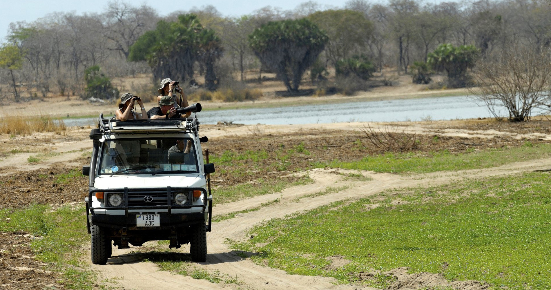 Safari au coeur de la réserve du Selous Tanzanie