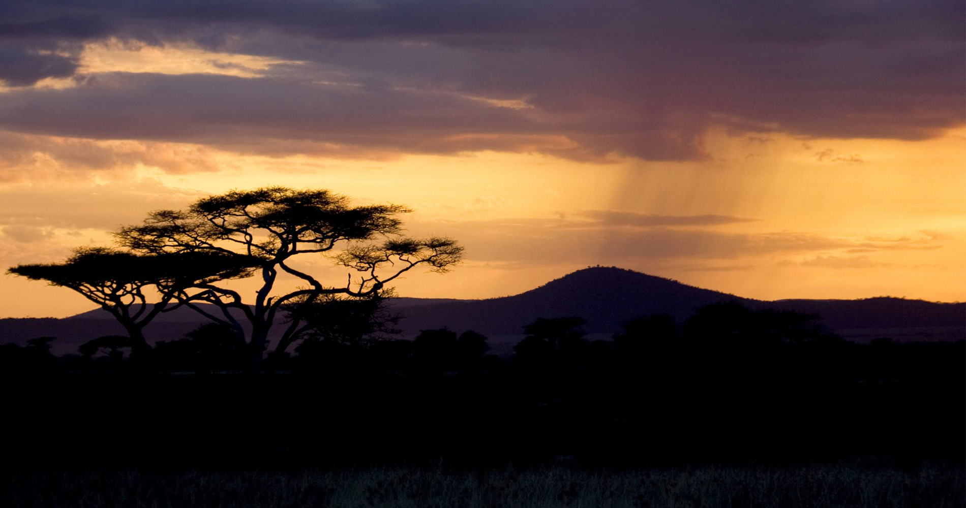 Coucher de soleil dans le parc de Serengeti