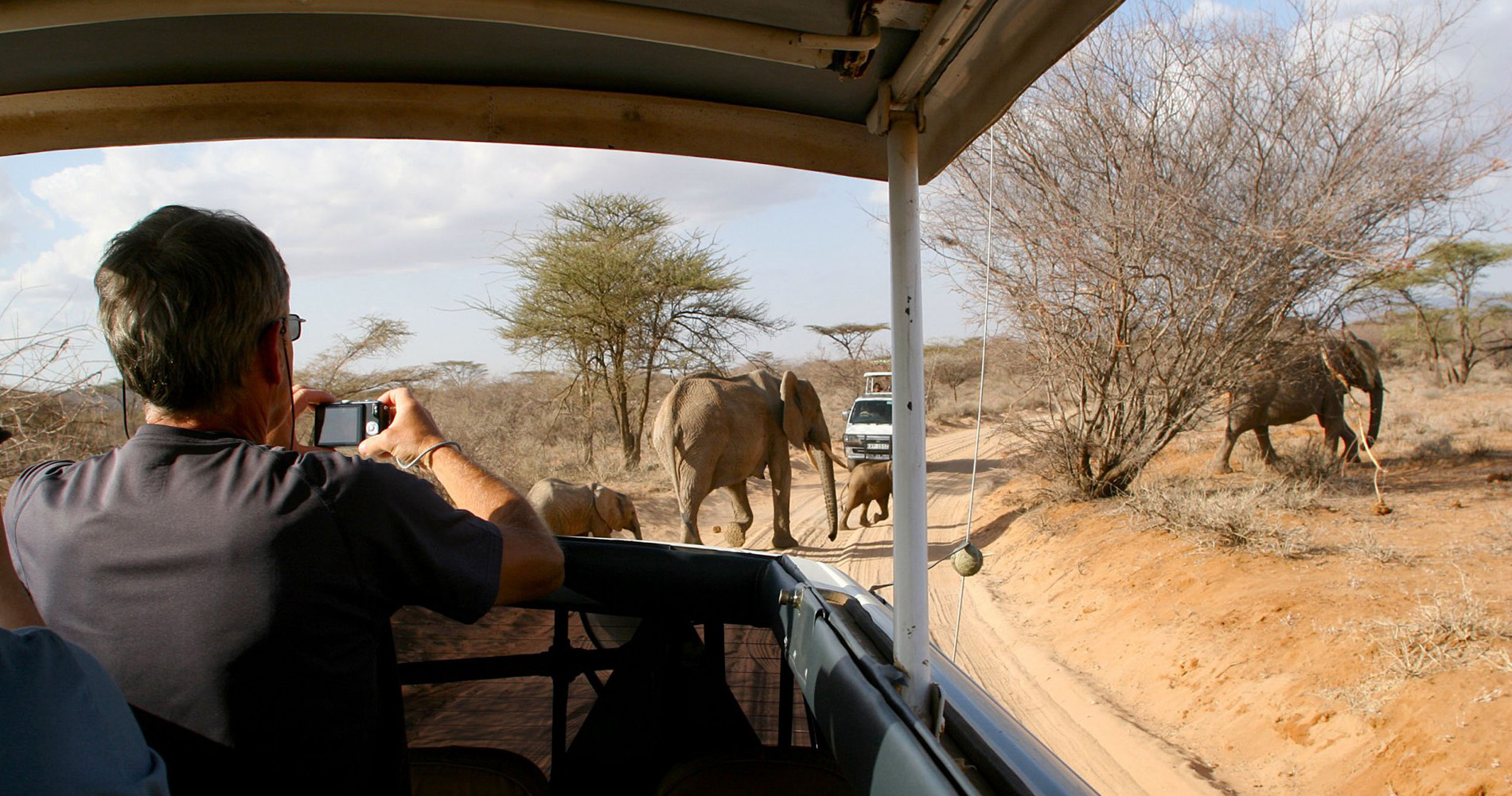 Safari dans le Parc National de Serengeti