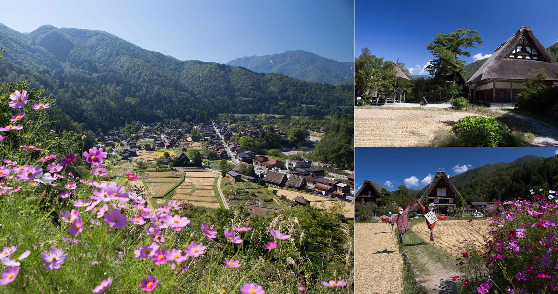 Village traditionnel de Shirakawago dans les Alpes Japonaises