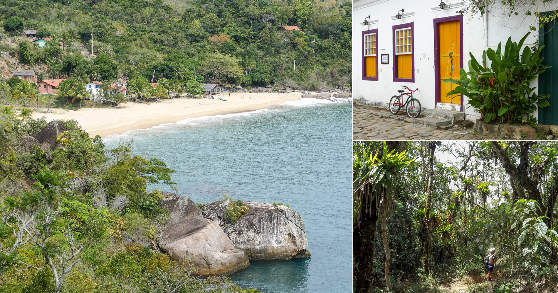 Dans la Serra da Bocaina et Paraty