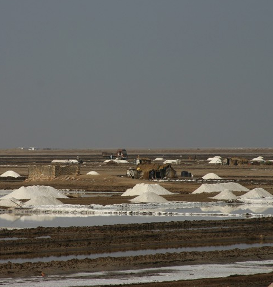 Collecte du sel au Rann du Kutch