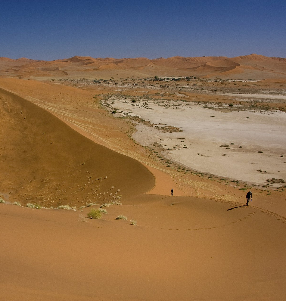 Dunes de Big Daddy, Deadvlei