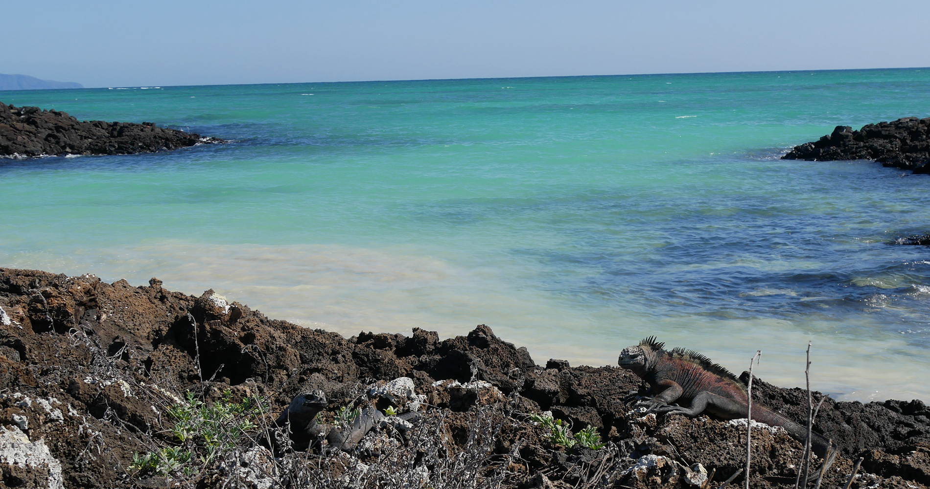 Plage de Garapatero sur Santa Cruz