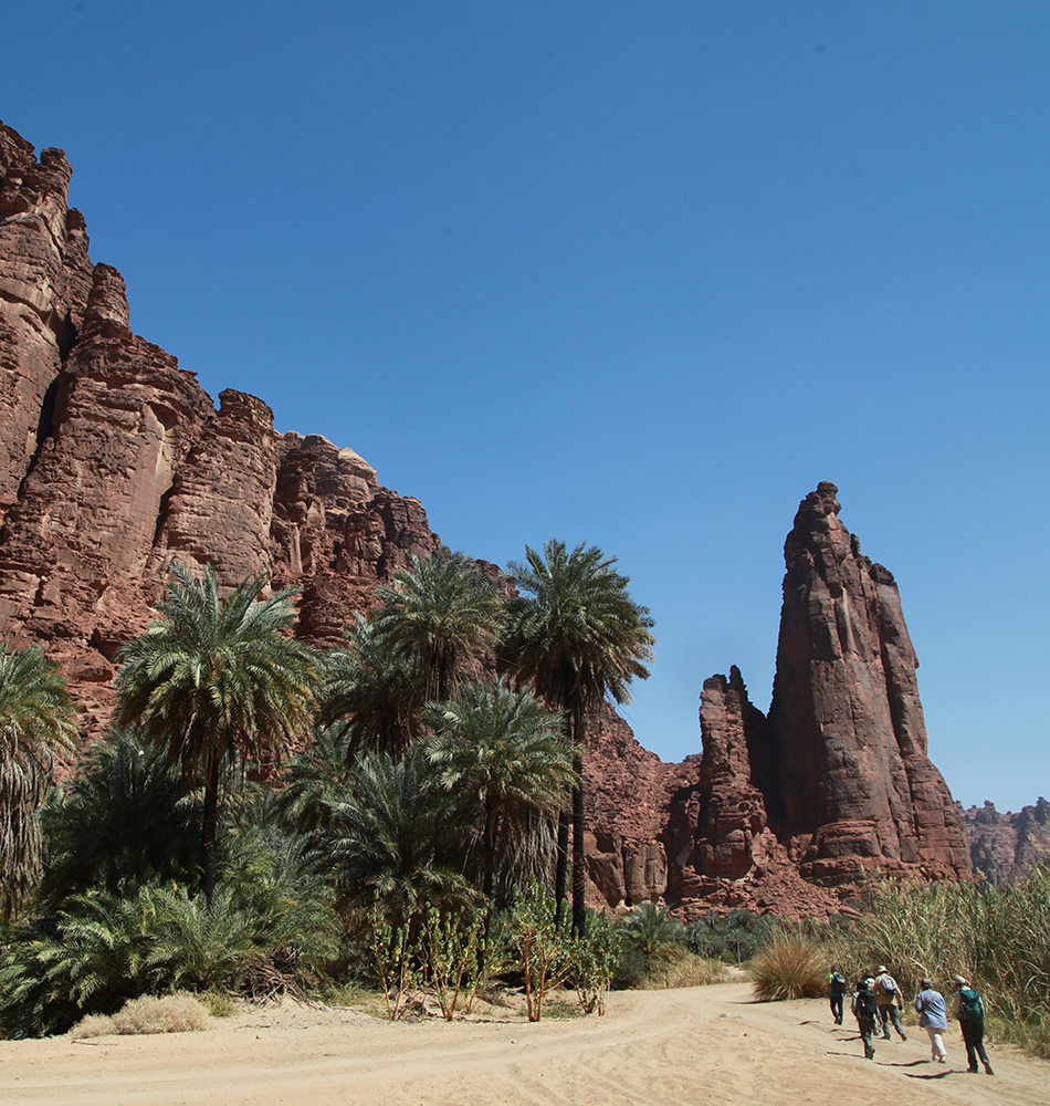 Wadi Disah