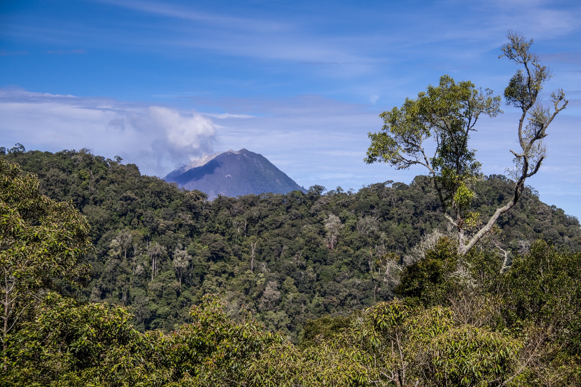 Région volcanique de Brastagi, Sumatra - Indonésie