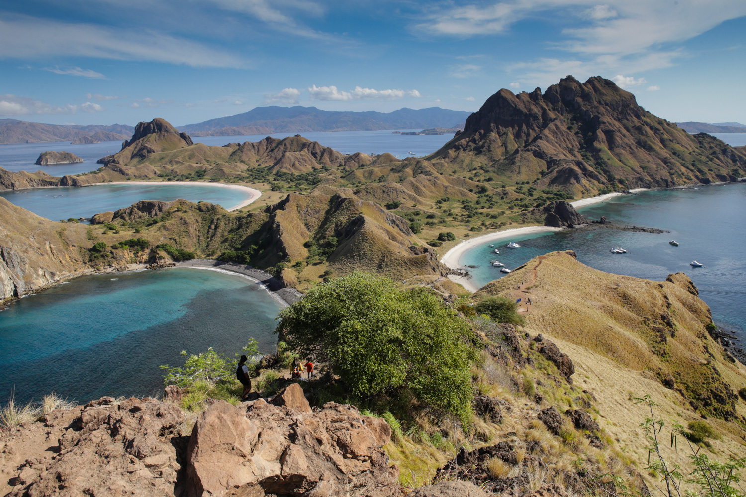 Ile de Padar, archipel de Komodo 