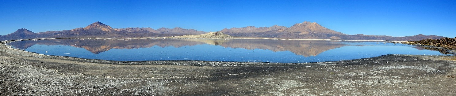 Salar de Surire Lagune