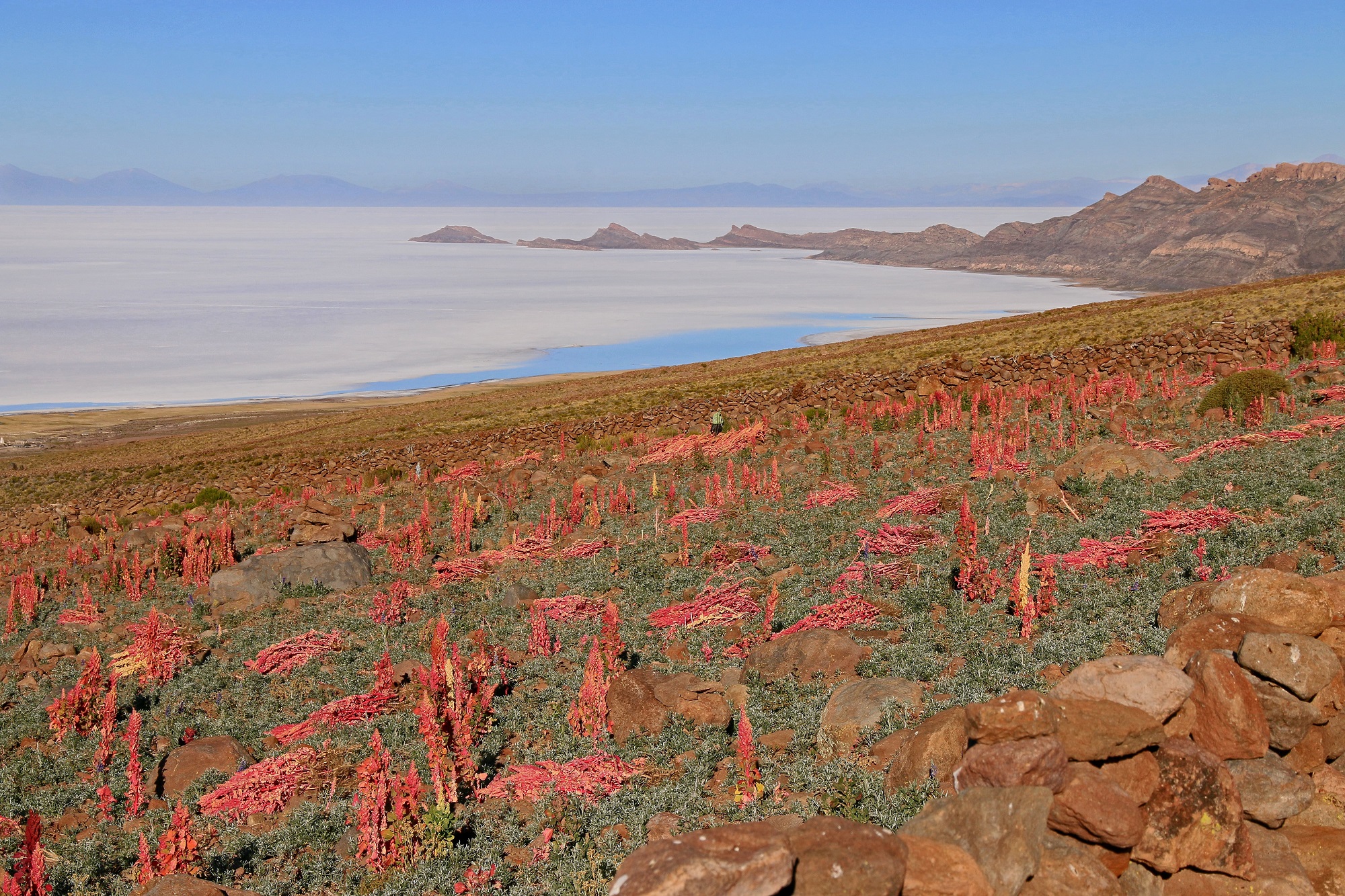 salar uyuni