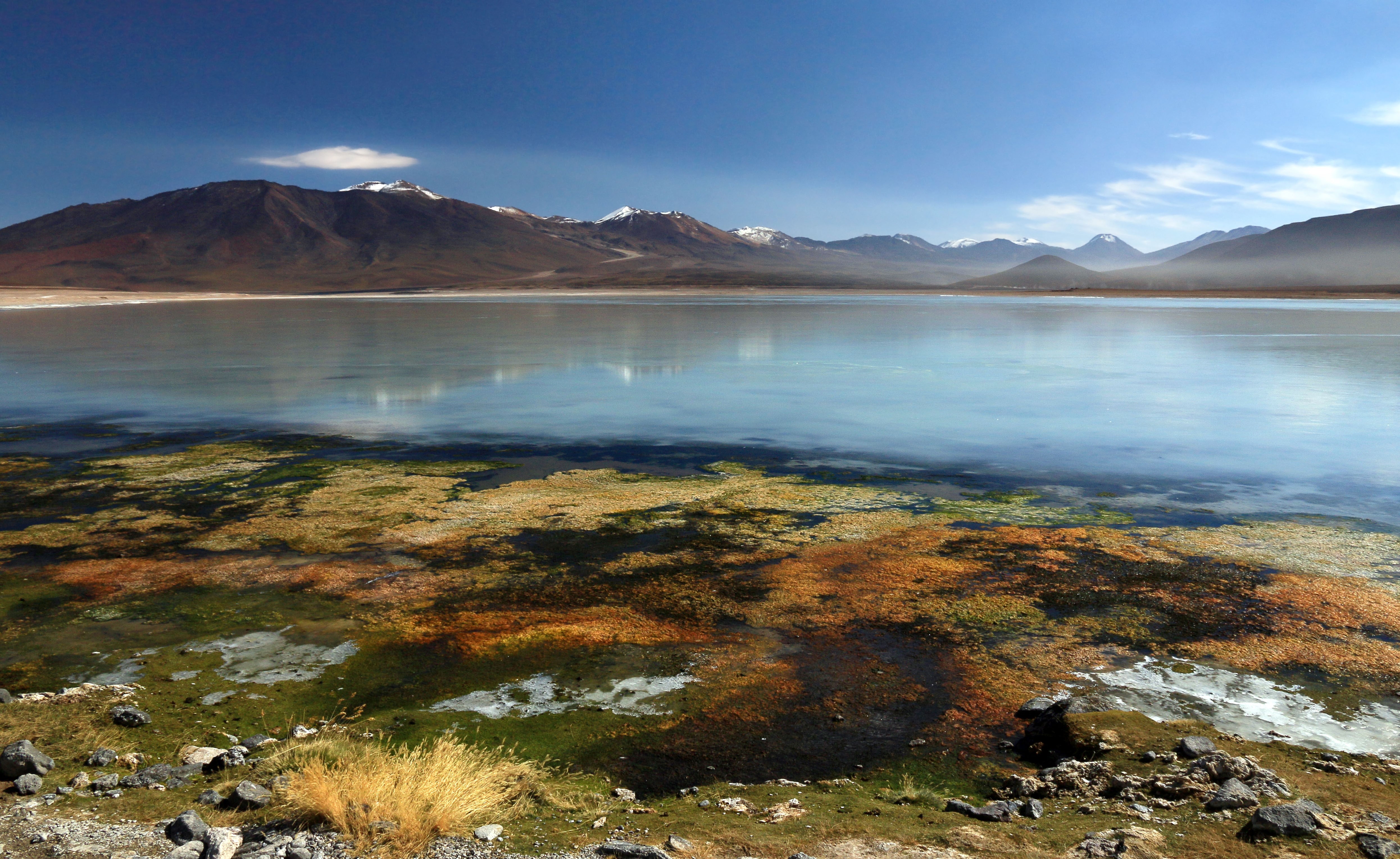 Laguna verde 