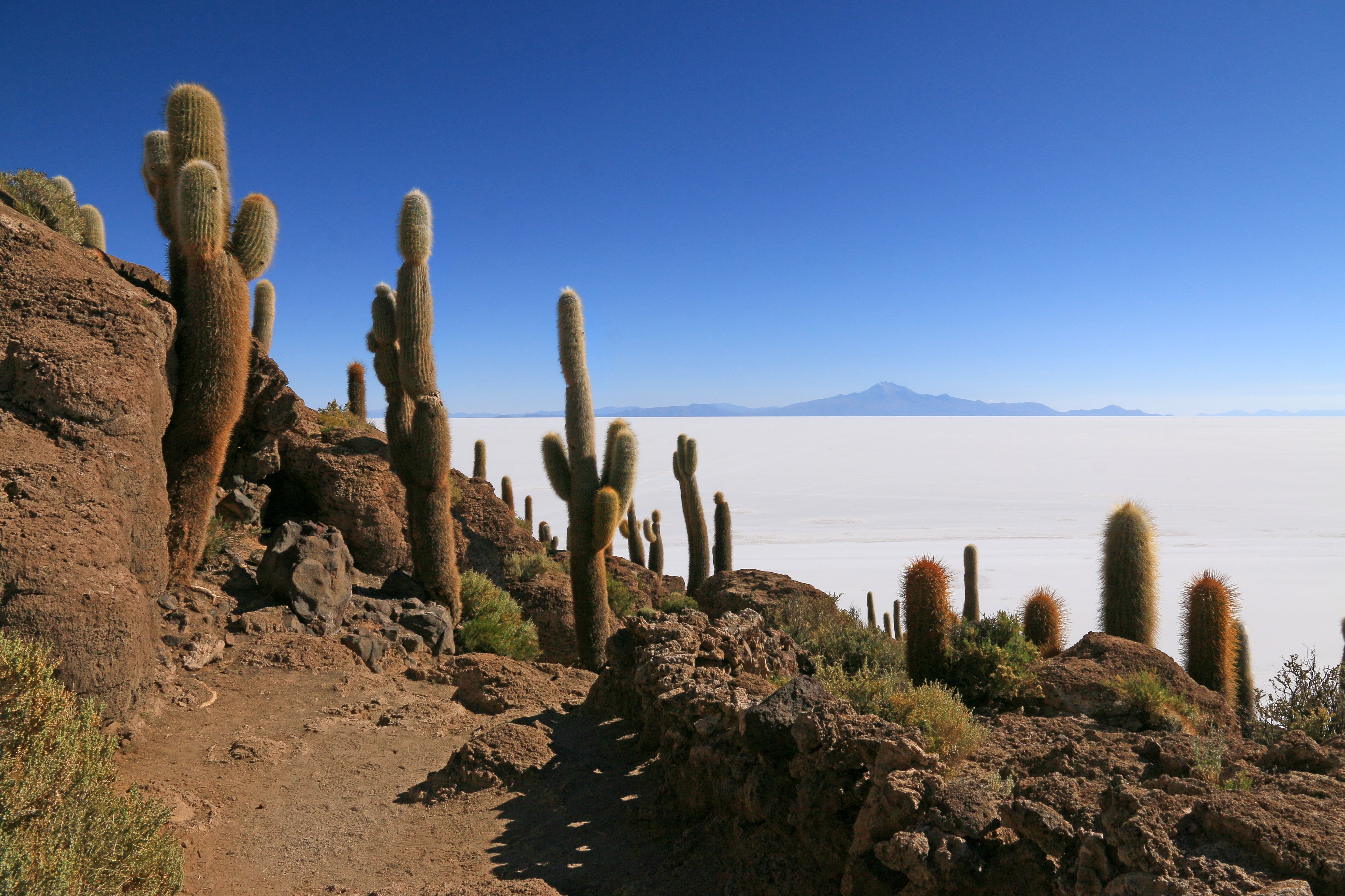 Salar uyuni 